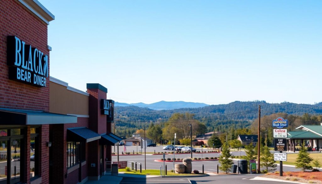 A vibrant, panoramic image showcasing the diverse locations and operating hours of the Black Bear Diner restaurant chain. In the foreground, a row of modern, rustic-inspired diner facades in warm hues of brown and red brick, with large windows and inviting entryways. In the middle ground, a scattering of diner parking lots and signage, indicating the varied operating hours and schedules for each establishment. In the distant background, a serene landscape of rolling hills, lush forests, and a clear, blue sky, creating a sense of the diner's widespread presence across different regions and environments. The lighting is soft and natural, highlighting the warm, welcoming ambiance of the diners. The overall composition conveys the expansive network and flexible hours of the Black Bear Diner brand, inviting the viewer to explore and experience the brand's offerings at their convenience.
